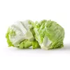 Sėklos Crisp Ice Lettuce Summer Toraf daržovių, 1g pakuotė