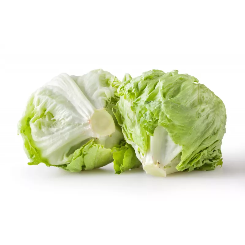 Sėklos Crisp Ice Lettuce Summer Toraf daržovių, 1g pakuotė