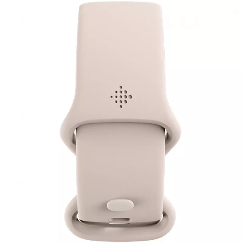 Fitbit GA05185-EU Sidabrinė
