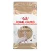 Royal Canin Sphynx Adult sausas maistas katėms, 2 kg