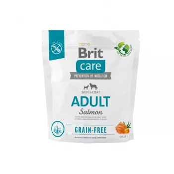 Brit BRIT Care Grūdų neturintis suaugusių mažų ir vidutinių veislių šunų ėdalas su lašiša 1 kg