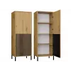 KAMARO 2DK plonas/GŁ ąžuolas ARTISAN DISPLAY CABINET
