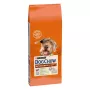 Sausas šunų ėdalas Purina Nestlé Dog Chow Mature Senior su ėriena 14 kg, 24% baltymų, 10% riebalų