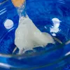 Mokslinis rinkinys Liscianigiochi Crazy Science Slime in the dark 304-PL89239 – švytintis gleivinis eksperimentų rinkinys