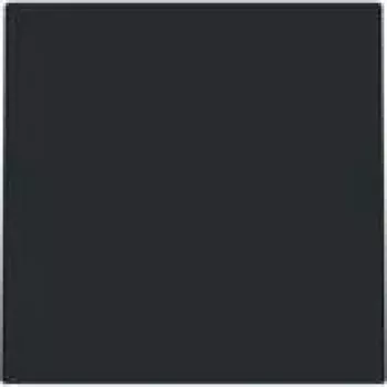 Busch-jaeger 2CKA001710A4251