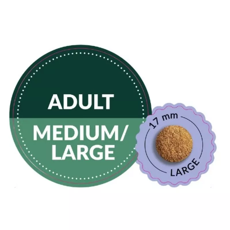 ADDVENA Taste Sensations Adult Medium/Large Turkey - sausas šunų maistas - 2,5kg