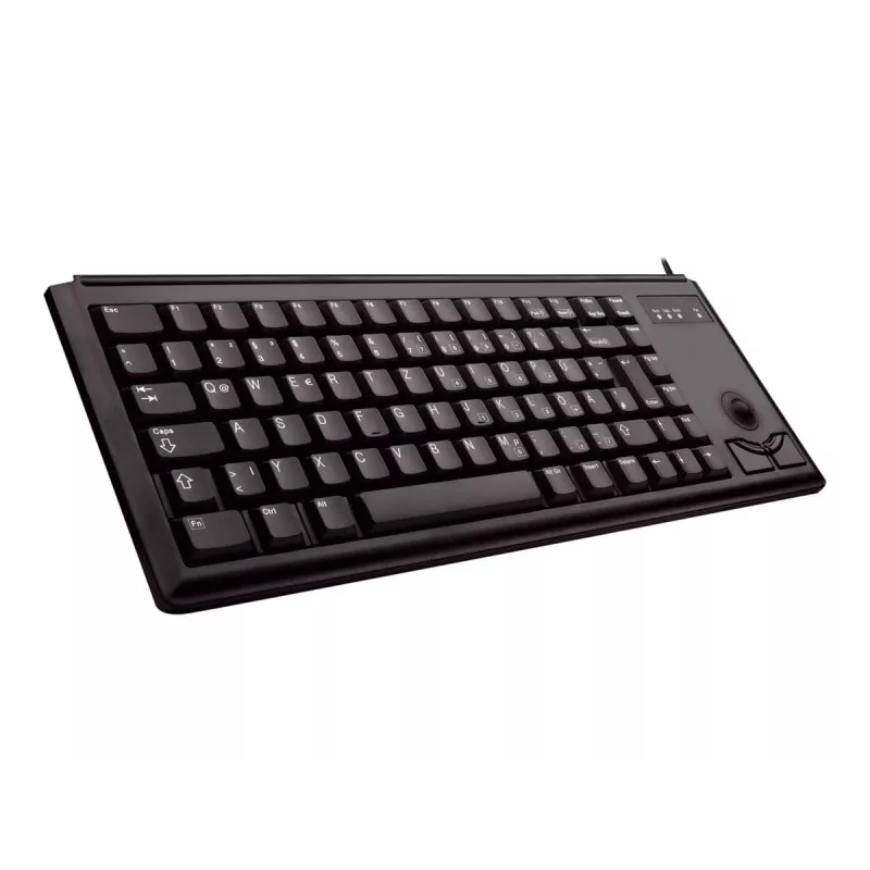 CHERRY G84-4400 klaviatūra Universal USB QWERTY US English Juoda