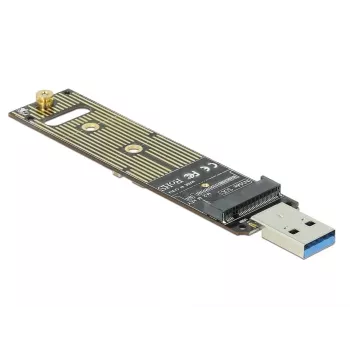 Vidinis M.2 adapteris DeLOCK 64069