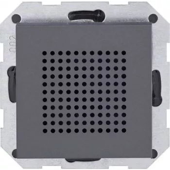 GIRA 228228 Garsiakalbis 1 krypties Antracitas Laidinis 4 W