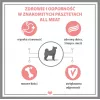 Šlapias šunų ėdalas PUPIL Premium All Meat Gold Sėdynė iš ėrienos - 800g