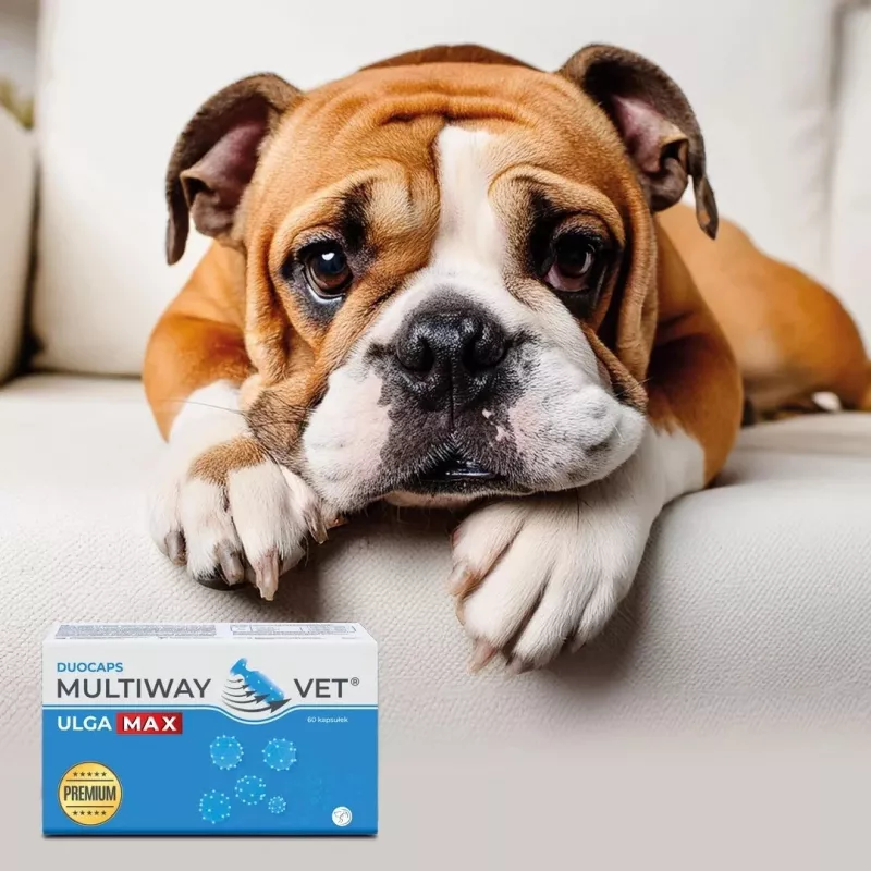 Sukamieji kapsulės JM Sante Multiway Vet Duocaps Ulga Max – 60 vnt., skirtos stresui ir diskomfortui mažinti suaugusiems šunims ir katėms, 150 g