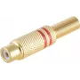 RCA lizdinė jungtis ShiverPeaks BS52021-R