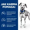 HILL'S PRESCRIPTION DIET Urinary Care Canine u/d Sausas šunų ėdalas 10 kg
