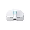 Belaidė pelė Baracuda BGM-122 Turtle White TURTLE-W