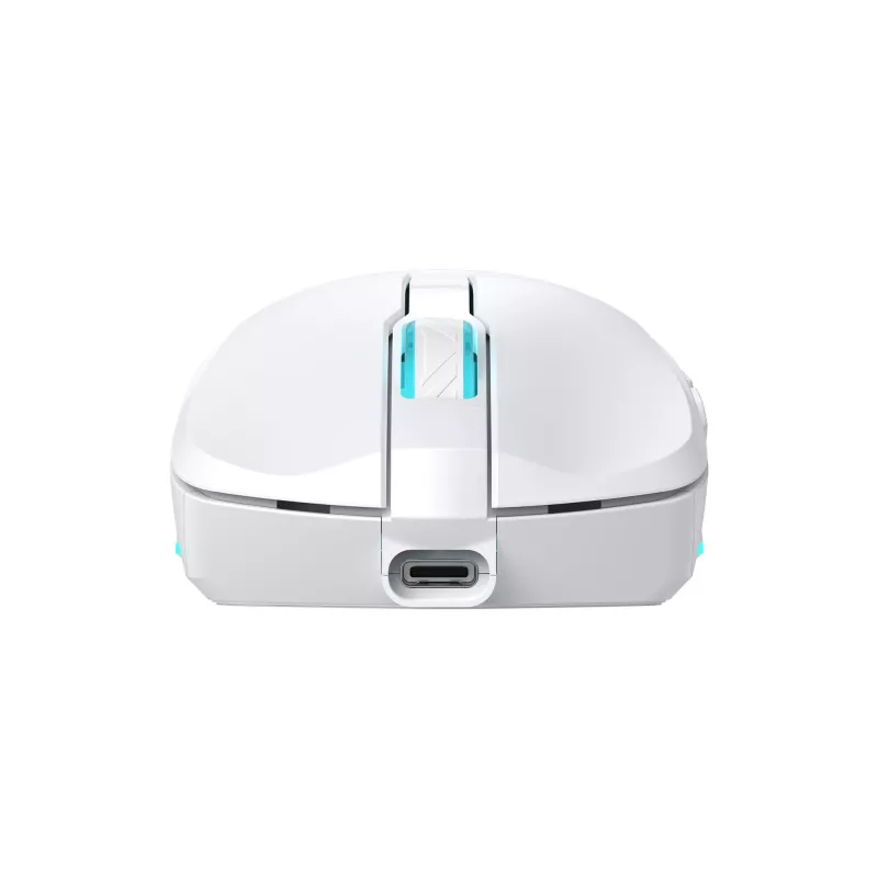 Belaidė pelė Baracuda BGM-122 Turtle White TURTLE-W
