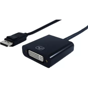 STANDARD DisplayPort-DVI adapteris, DP kištukas – DVI lizdas, 0,15 m (S3202)