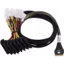Adaptec kabelis 1x SFF8654 x8 -> SFF8639 8xU.3 vidinis 0,8 m SlimSAS - 8SFF-8639 x1 ir3 tri-režimo SAS/SATA/NVMe