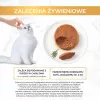 Šlapias kačių ėdalas Purina GOURMET Gold Adult Tuna 85 g skardinė