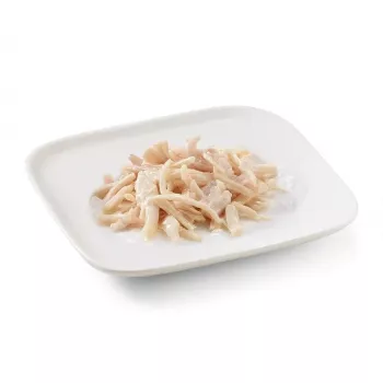 Šlapias šunų ėdalas SCHESIR in jelly Chicken 150 g