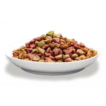 Sausas kačių ėdalas PREVITAL Adult su jautiena 1,4 kg — 30% baltymų, 12% riebalų, 3% ląstelienos