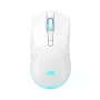 Belaidė pelė Baracuda BGM-122 Turtle White TURTLE-W