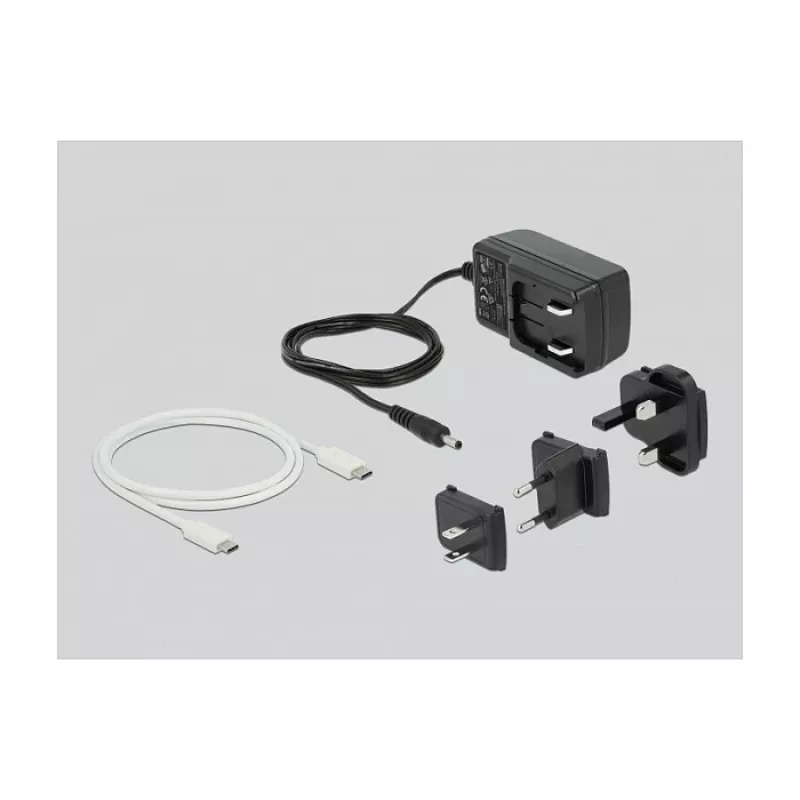 Docking stotelė DeLOCK USB Type-C 3.2 skirta 2 x 2,5 colio SATA HDD/SSD