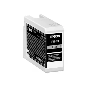 Originalus Epson UltraChrome Pro 10 T46S9 šviesiai pilkas pigmentinis rašalas