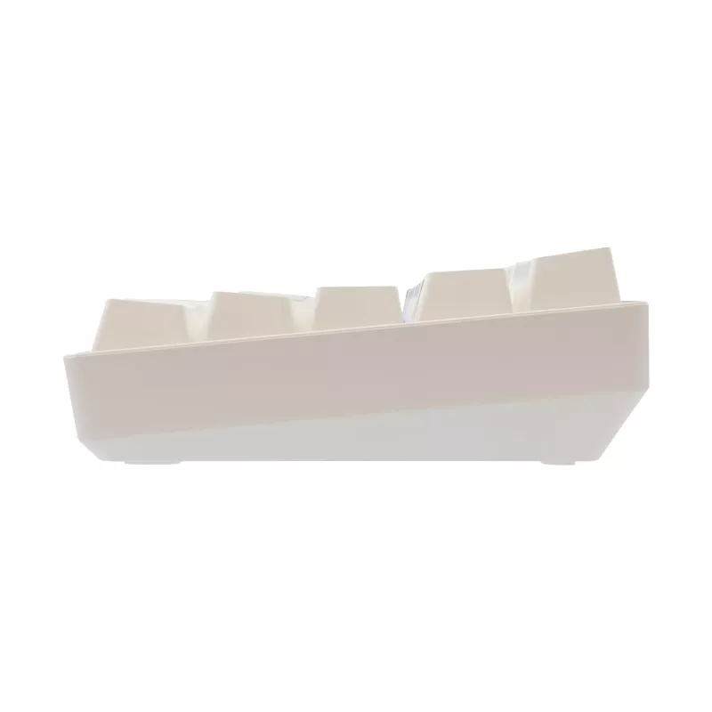 Laidinė mechaninė klaviatūra White Shark Shinobi-2 (GK-004211) — US išdėstymas, Red jungikliai, balta