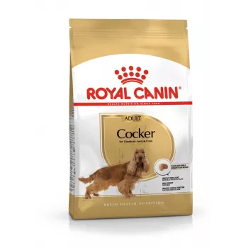 Royal Canin Cocker Adult 12 kg — sausas šunų ėdalas vištiena, 25% baltymų, 14% riebalų