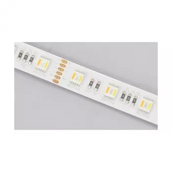 Synergy 21 LED Flex Strip 5050 - 60 RGB DC24V + RGB-WW (RGB-CCT) vienos mikroschemos IP20