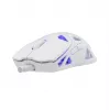 Belaidė pelė White Shark GM-5019 Dagonet Wireless