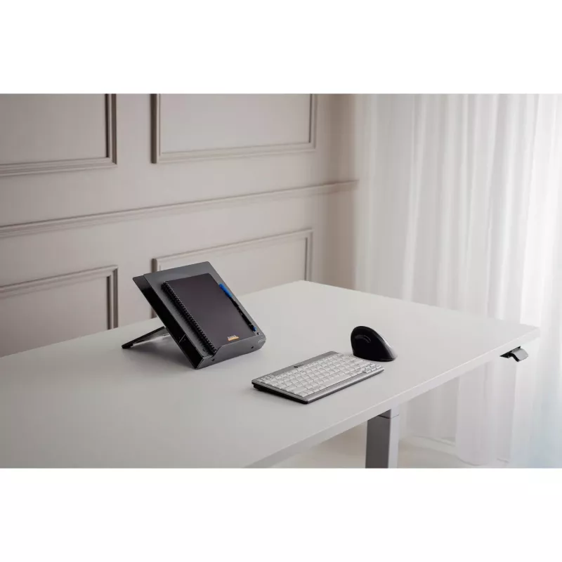 Bakkerelkhuizen BNEQ260 pilka ergonominė pelė