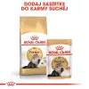 Royal Canin Persian Adult sausas ėdesys katėms, 4 kg, kukurūzai, paukštiena