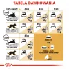 Royal Canin Sphynx Adult sausas maistas katėms, 2 kg