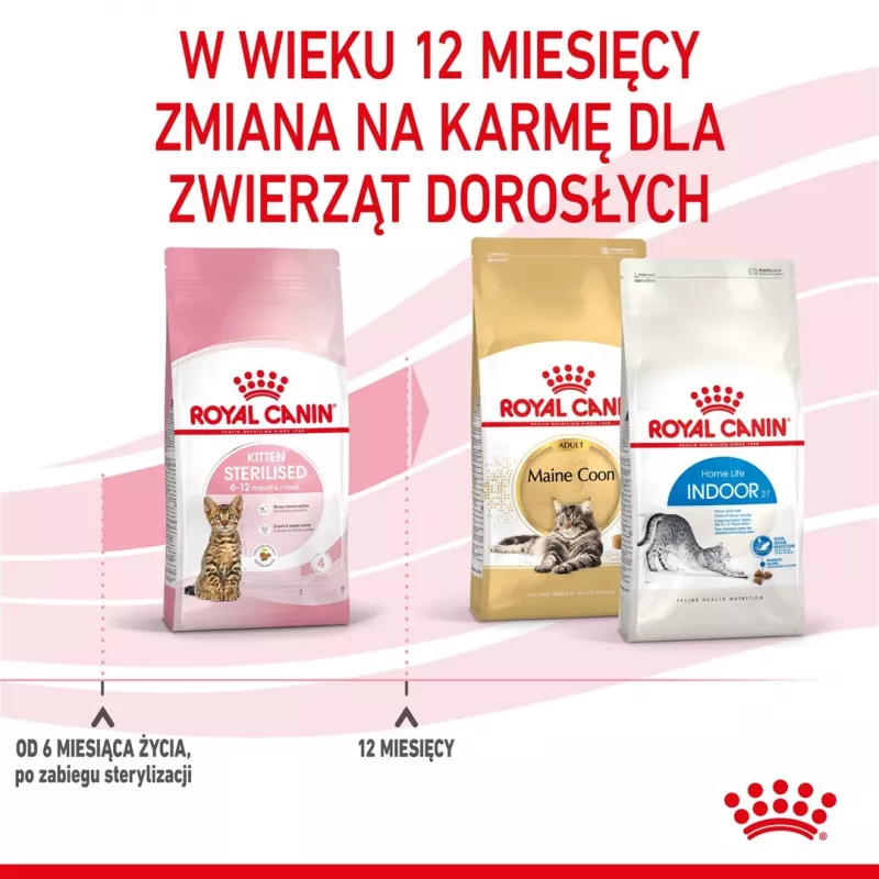 Royal Canin Kitten Sterilised sausas kačių maistas kačiukams, 3.5 kg, paukštienos skonio