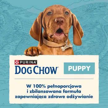 Purina Dog Chow Puppy ėriena 14 kg