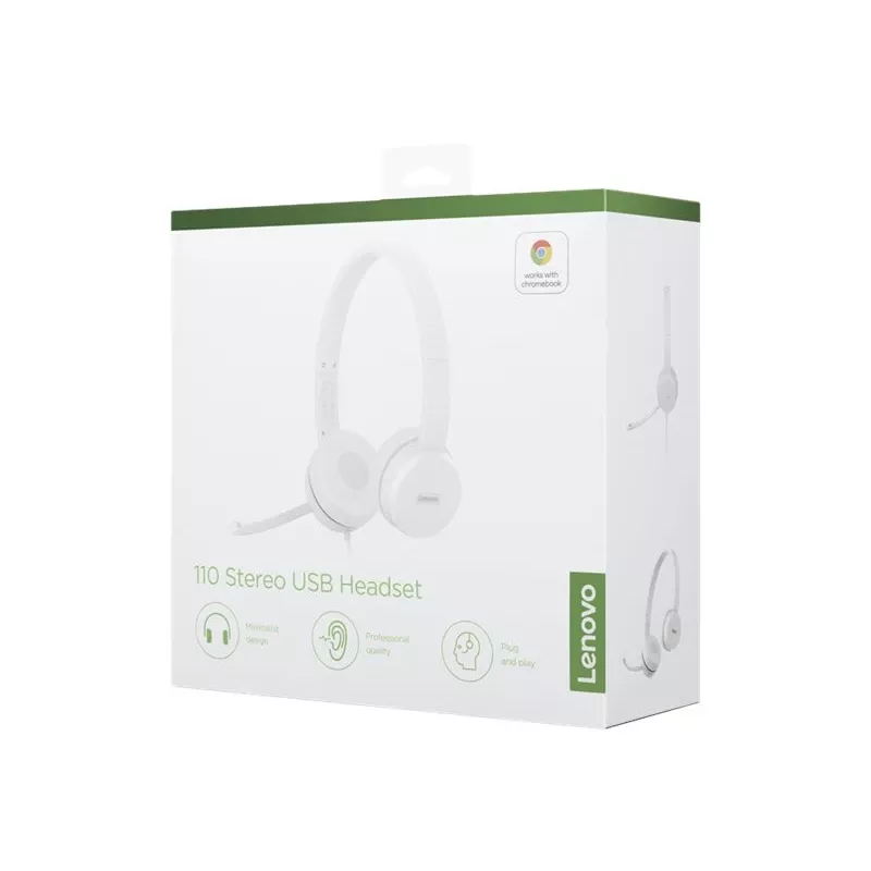 Lenovo GXD1E71385 ausinės / headset Laidinės USB-A Pilka