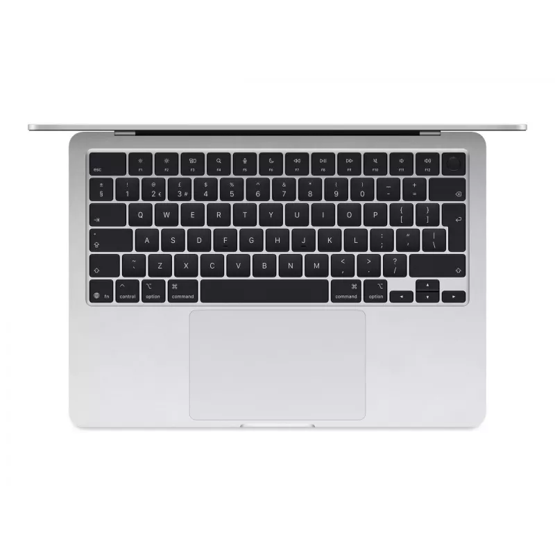 Apple MW0W3D/A atminties modulis sidabrinis