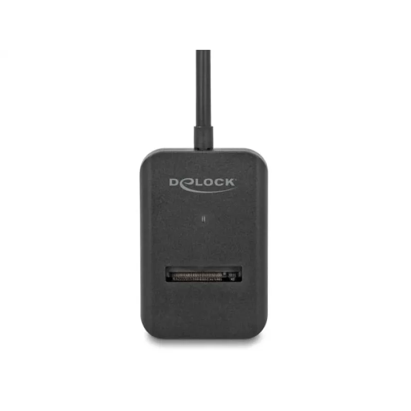 DeLOCK Combo Converter M.2 NVMe PCIe SATA SSD į USB Type-C 10 Gbps