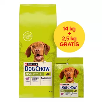 PURINA Dog Chow Adult ėriena - sausas šunų ėdalas - 14 + 2,5 kg