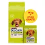 PURINA Dog Chow Adult ėriena - sausas šunų ėdalas - 14 + 2,5 kg