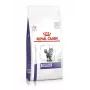 Sausas kačių ėdalas Royal Canin Dental 1,5 kg – paukštienos skonis, dantų priežiūra