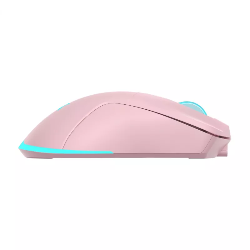Belaidė pelė Baracuda BGM-124 Turtle Pink TURTLE-P