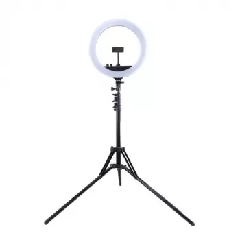 LED žiedinė šviesa 34,5 cm su trikoju iki 1,85 m, veidrodžiu ir telefono laikikliu, USB