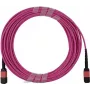 CBO Fiber SFP5252FU30MKB 30m MPO OM4 šviesolaidinis kabelis, rausvai violetinis
