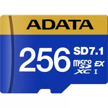 ADATA UD256GEX3L1-C atminties kortelė 256 GB MicroSDXC UHS-II