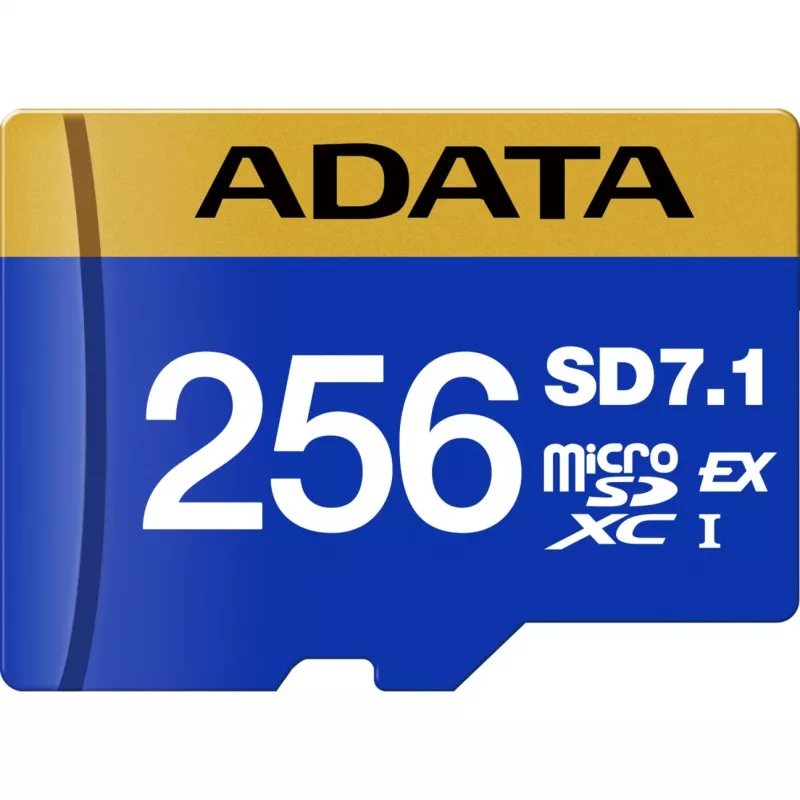 ADATA UD256GEX3L1-C atminties kortelė 256 GB MicroSDXC UHS-II