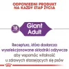 ROYAL CANIN Giant Adult – sausas šunų maistas – 15 kg