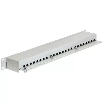 Patch panel DeLOCK 43300 1U RJ-45 pilkas