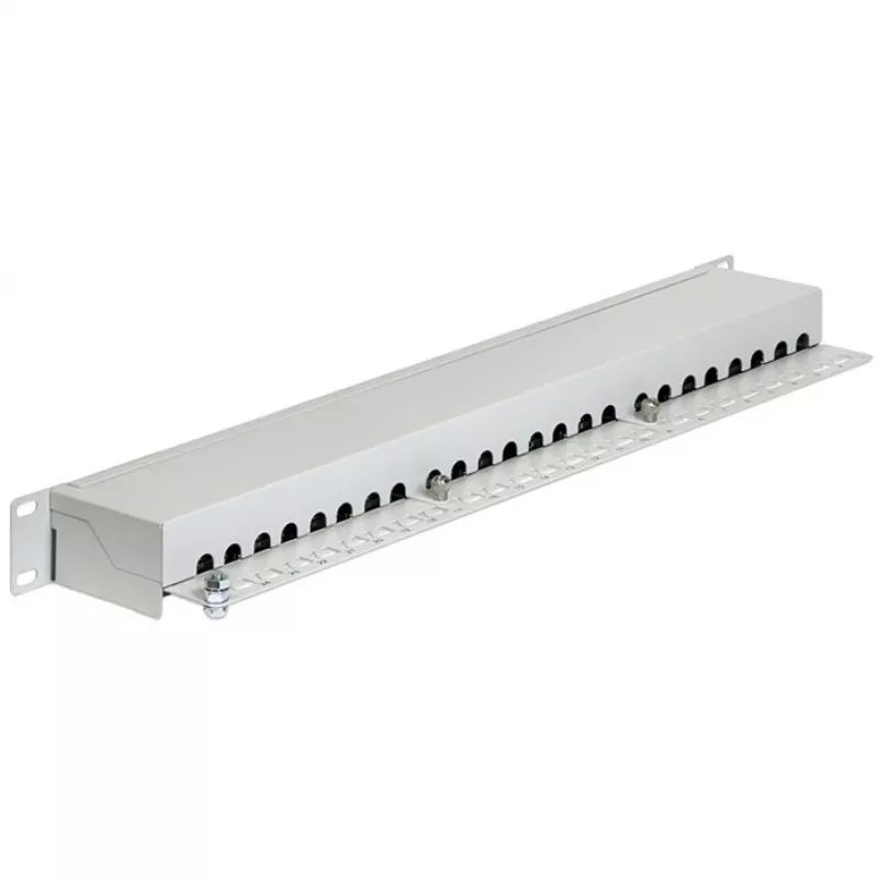Patch panel DeLOCK 43300 1U RJ-45 pilkas